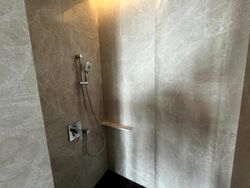 Amber Park (D15), Condominium #544388401